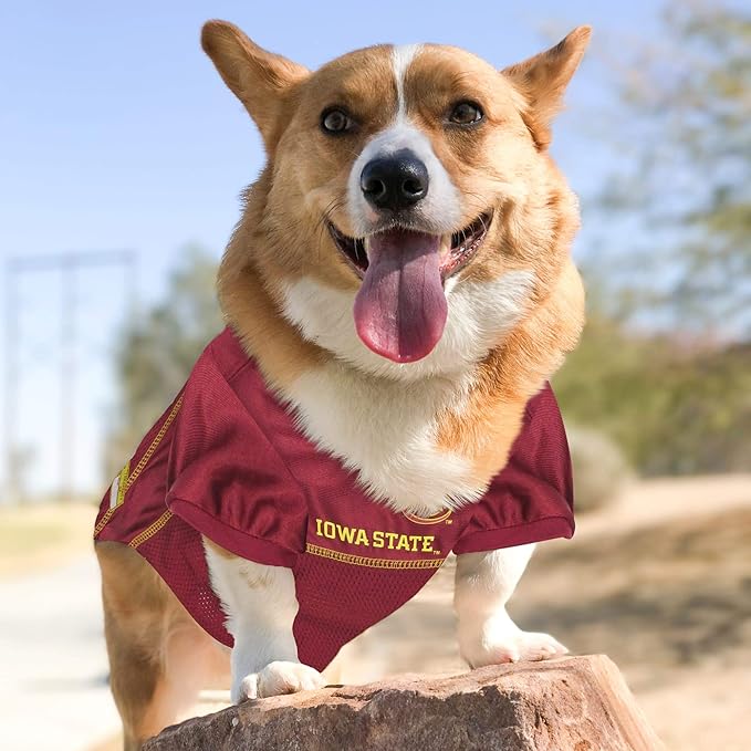 Pets First NCAA College Iowa State Cyclones Mesh Jersey for Dogs & Cats, XX-Large. Licensed Dog Jersey with Your Favorite Football/Basketball College Team