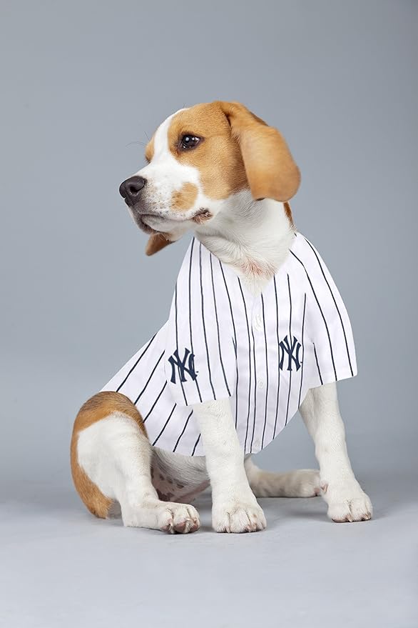 MLBPA Dog Jersey - Aaron Judge #99 Pet Jersey - MLB New York Yankees Mesh Jersey, Small