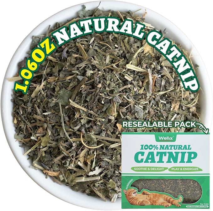 Wellix Natural Catnip & Freeze Dried Catnip Treats for Cats