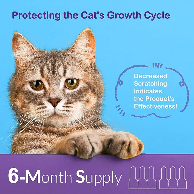 Topical Flea and Tick for Cats & Kittens: Waterproof Topical Cat Flea and Tick – Fast-Acting & Long - Lasting at Home Control for Cats Over 1.5 lbs and 8 Weeks or Older – 12-Dose Supply