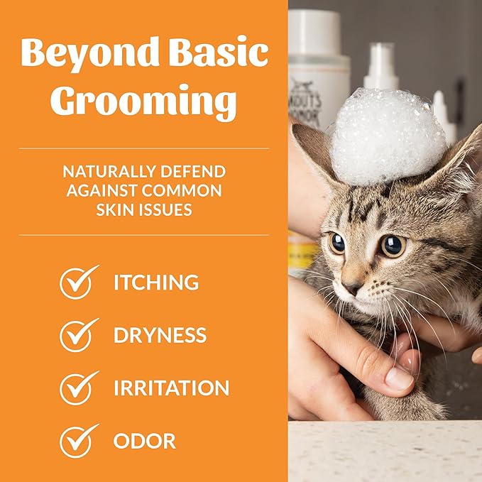 SKOUT'S HONOR Probiotic Cat Shampoo & Conditioner with Avocado Oil & Omega-3s, 97% Natural, Paraben & Sulfate-Free, Cruelty-Free, Defend Against Itch, Dryness, Irritation, 16oz, Honeysuckle