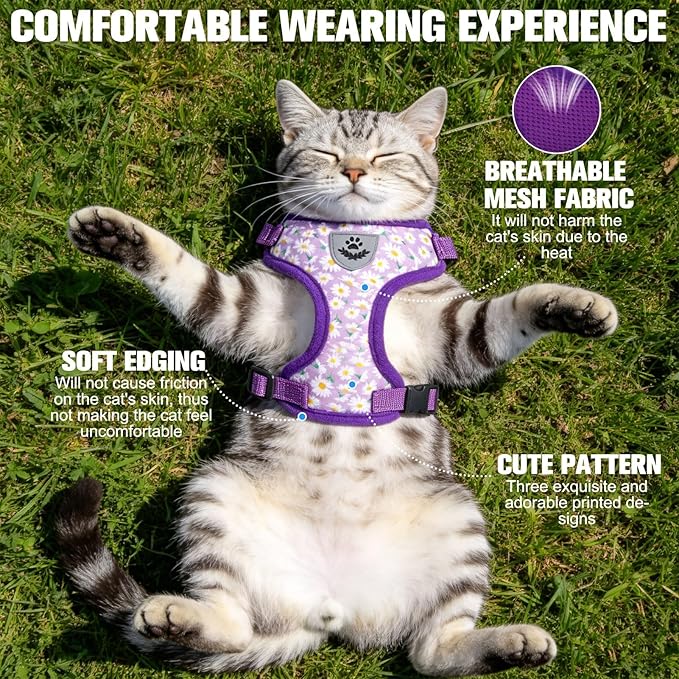 EXPAWLORER Escape Proof Cat Harness and Leash Set - Soft Breathable Vest Harness with Adjustable for Kitten Puppy Outdoor Walking Travel, Reflective Harnesses for Small Medium Large Cats, Daisy S