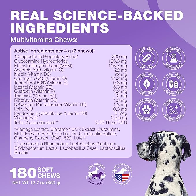 Dog Vitamins 15 in 1 - Dog Multivitamin Chews with MSM for Hip & Joint Health - Dog Supplement for Itchy Skin Relief - Multivitamin for Dogs Immune Support with Enzymes - Skin & Coat, Mobility Support