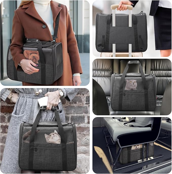 JUNGYOUN Premium Cat Carrier - Pet Carrier for Cat & Small Dogs up to 15lbs - Airline Approved Travel Dog Carrier with Anti-Escape Zippers, Collapsible Travel Bowl & Padded Strap