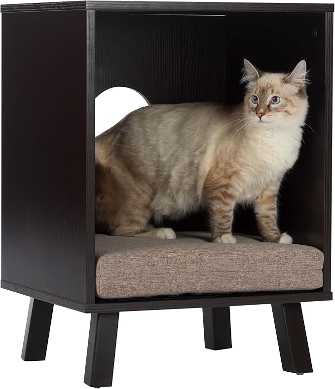 Paws & Purrs Stylish 2-in-1 Pet Bed & End Table – 3" Foam Cushion, Removable Cover, Compact Hideaway for Cats and Dogs Up to 25 lb