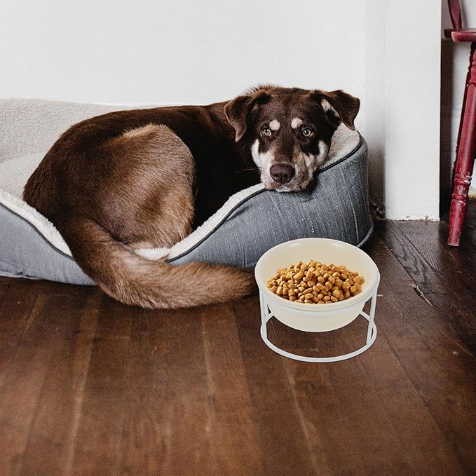 TEHAUX Ceramic Elevated Pet Bowl Set with Iron Stand, Raised Cat Food and Water Container, Light Beige Single Bowl for Cats and Dogs, Whisker Relief Feeder for Home Use