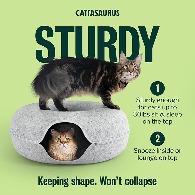 Cattasaurus Peekaboo Cat Cave Duo Jumbo Set, Extra Spacious Cat Donut for Multiple & Large Kitty 15+ lbs, Scratch Detachable Cat Beds for Indoor Cats, Washable Cat Tunnel Bed, Best Kitten Toys