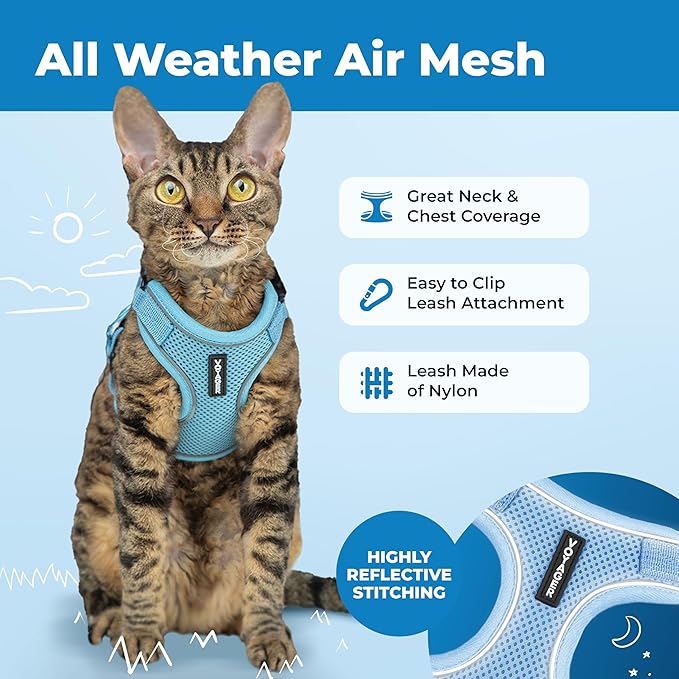 Voyager Escape-Proof Step-in Lock Cat Harness & 5ft Neoprene-Handle Leash Set All-Weather Mesh with Reflective Stitching for Small to Large Cats by Best Pet Supplies, Baby Blue (327), M