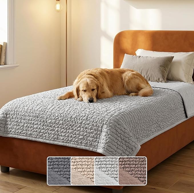 PAULATO BY GA.I.CO. Waterproof Blanket for Bed – Twin Size Cover for Incontinence – Machine Washable Stain-Resistant Protector for Couch and Sofa – Absorbent Pad - Light Grey