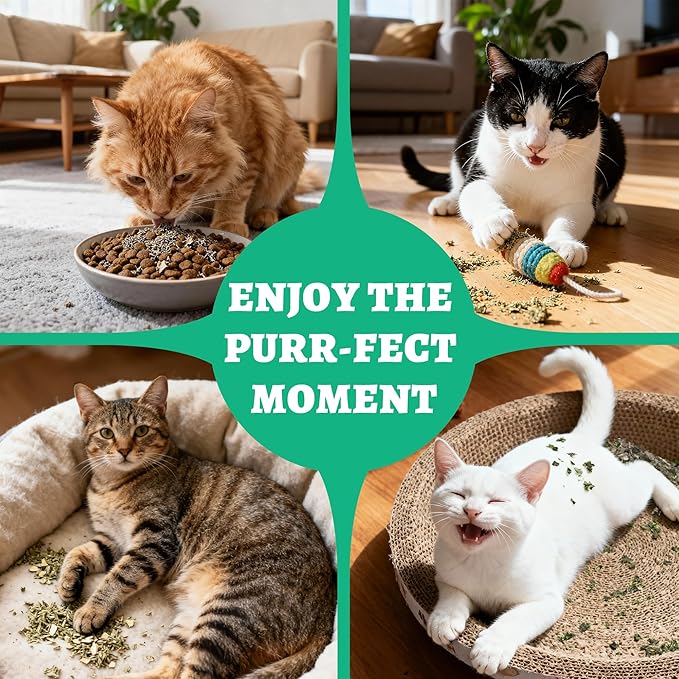 Wellix Fresh Catnip for Cats, Natural Dried Catnip Leaves, Flowers & Stems - Fresh Aroma, Used as Treats or Refillable Cat nip Toys, Non-addtictive, Safe for Indoor Kittens 1.06oz
