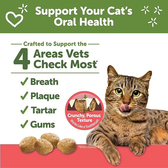 Whimzees Wellness Cat Dental Treats,Chicken and Salmon Flavor,(4.5 Ounce Bag),(Pack of 2)