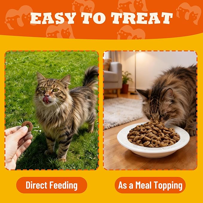 9 oz Skin & Coat Treats Fish Oil for Cats Chicken Flavor Cat Training Treats Cat Treats for Indoor Cats