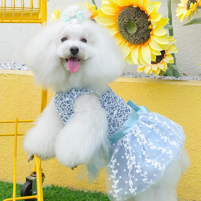 CuteBone Dog Birthday Dress Girl Puppy Skirt Tutu Cat Wedding Outfit Pet Party Clothes for Small Dogs Costume DD22S