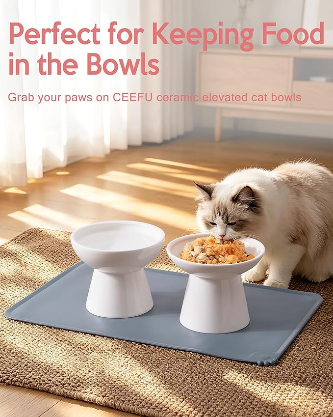 CEEFU 2 Elevated Ceramic Cat Bowls Upgraded with Food Mat, Extra Wide for Food & Water – Whisker Fatigue Shallow Food Dish, Lead & Cadmium-Free, Raised Height for Cats, White