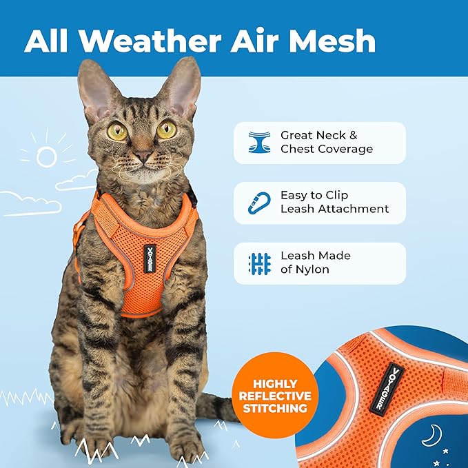 Voyager Escape-Proof Step-in Lock Cat Harness & 5ft Neoprene-Handle Leash Set All-Weather Mesh with Reflective Stitching for Small to Large Cats by Best Pet Supplies, Orange (327), M