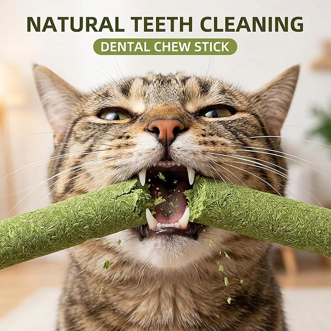 Cat Grass Treat Cats Toy 250g/8.82oz Freeze Dried Catnip Toys Kitten Chew Stick for Removal Hairballs for Cleaning Teeth Indoor Kitty Dental Care Lickable Edible Snack