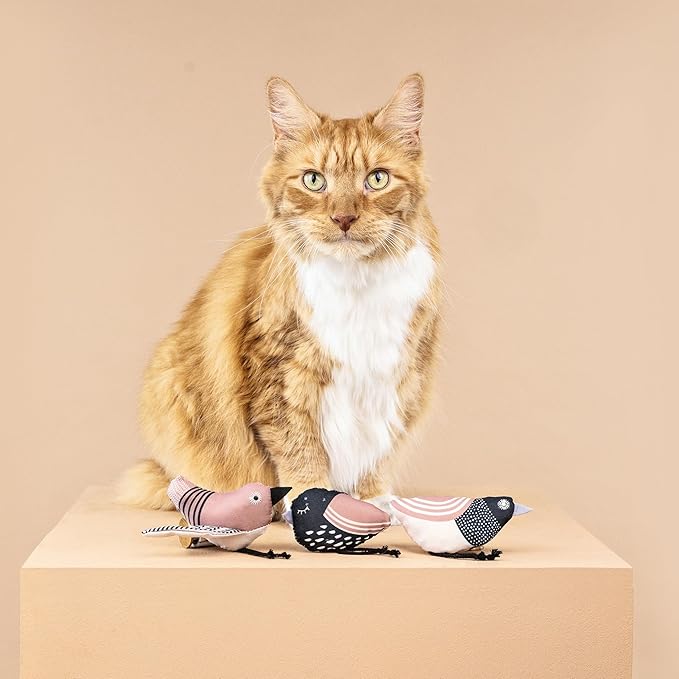 Fringe Studio, Under My Wings, Durable Cotton Canvas Cat Toy, 3PCS Set, PetShop Collection (904029)