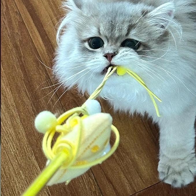 Cat Wands for Indoor, Interactive Teasing Stick Plush Cheese & Toast with Tassel Balls Cute Kitten Wand Safe Kitty Toy for All Breed Size