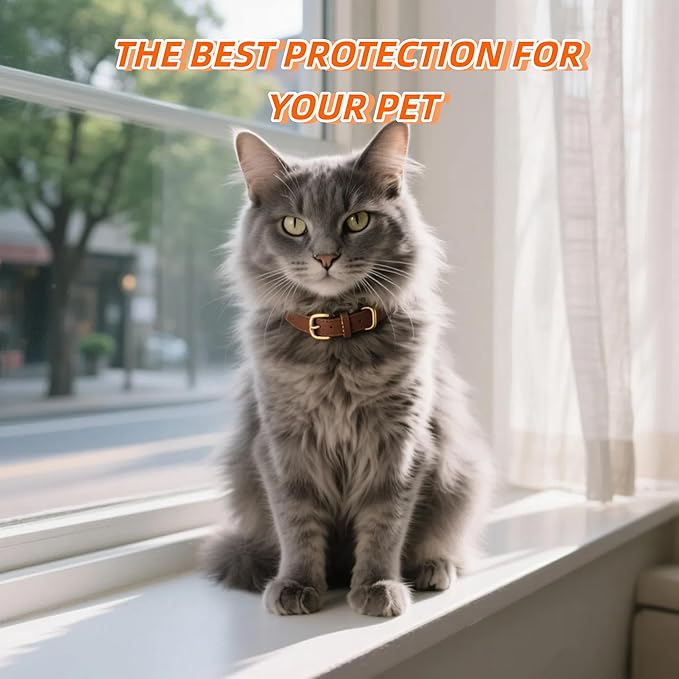 Genuine Leather Cat Collar Adjustable Durable and Comfortable for Cats, Puppies, and Extra Small Dogs(S,15" (Neck Fits 10"-13")
