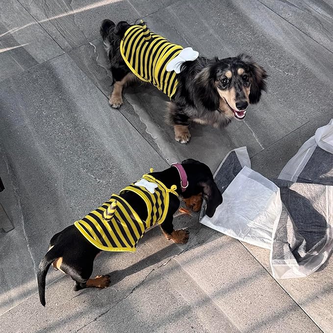 Funny Doggie Swimwear Bikini Summer Dog Clothes Beach Swimsuit Puppy Bathing Suit Puppy Vest Cooling Dog Shirts for Small Dogs, Cat Apparel (Medium, Yellow Bee)