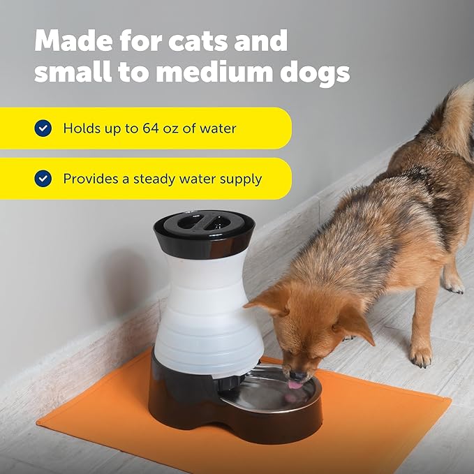 PetSafe Healthy Pet Food & Water Stations - Cat & Dog Food Storage Container - Filter Included with Waterer - Keeps Food & Water Fresh - Suitable for Small, Medium, & Large Dogs - Stainless Steel Bowl