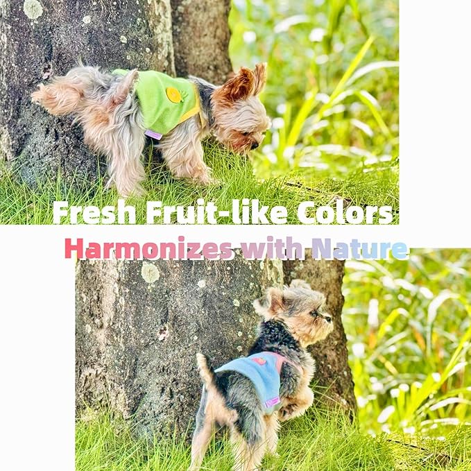 4-Piece Tiny Pet Clothes, Candy Colored Plush Sweater Shirts for Newborn/Teacup Cats & Dogs (e.g., Chihuahuas, Yorkies), Bunnies, and Other Small Animals (Sweet Fruit, XXS (1.5-3 lbs))