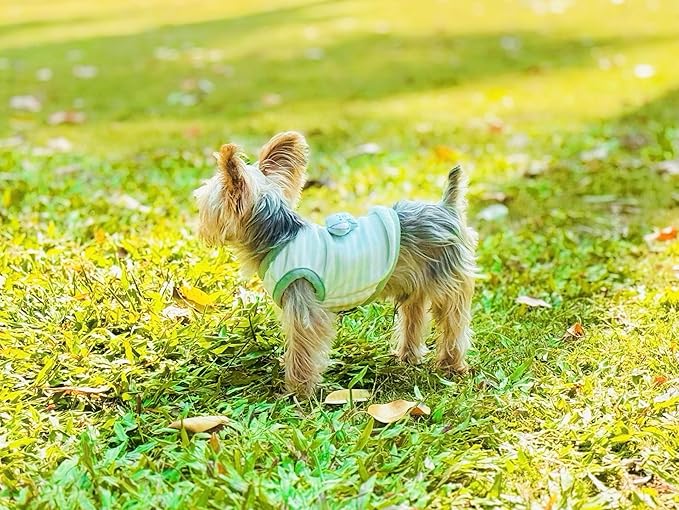 Handmade Tiny Pet Clothes, Baby-Soft Sweater Shirts for Newborn/Teacup Cats & Dogs (e.g., Chihuahuas, Yorkies, Miniature Pinscher), Other Small Animals (Elephant, XXXS)