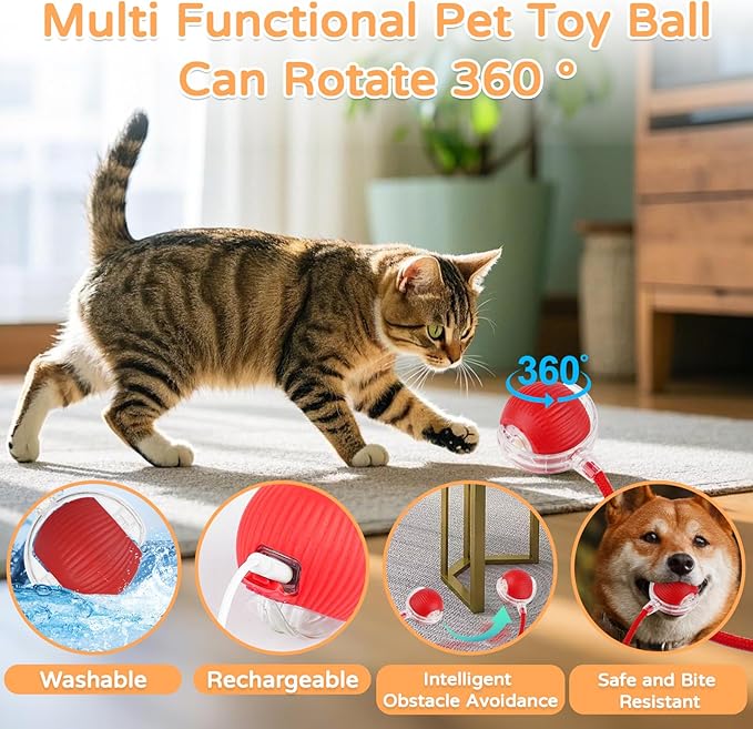 Goosheep 2025 New 2Pack Cat Ball Kitten Toys for Indoor Interactive Kitty Ball Toy Speedy Tail 360° Automatic Rolling for Dog, Cat(Red Grey)
