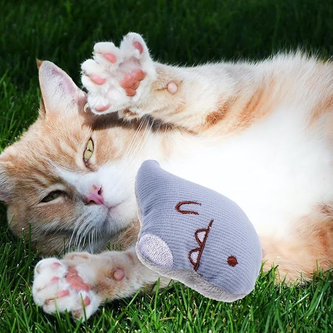 TEHAUX 3pcs Plush Catnip for Cats Interactive Chew Indoor Outdoor Pet Playthings Cute Cartoon Design