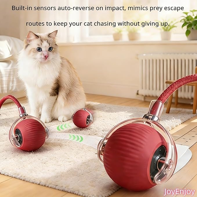 Interactive Cat Toy Ball Automatic Rolling Smart Cat Ball with Tail Motion Activated USB Rechargeable 3 Speed Modes Bird Chirping Durable Silicone Pet Toy for Indoor Cats Multiple Colors (Green)