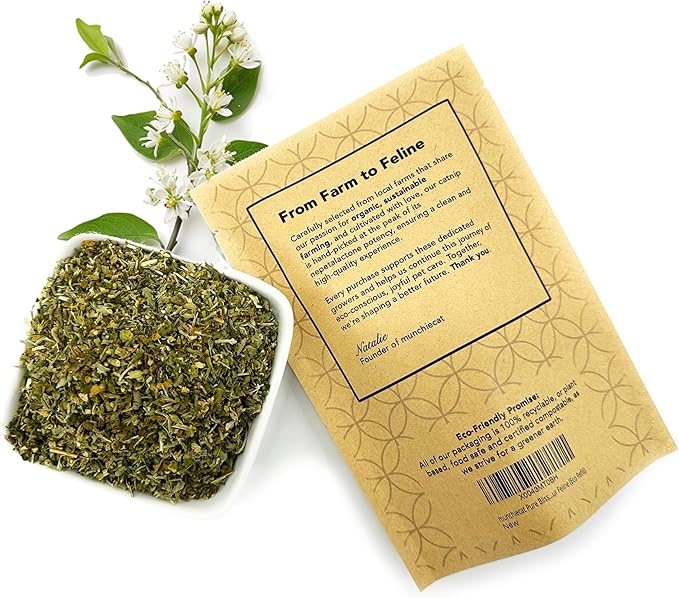 Feline Fantasy Blend, Silvervine: USDA Certified Organic American Catnip w Silvervine Matatabi , 1 Cup Refill - Eco-Safe, Freshness-Sealed - A Purrfect Treat for Your Feline (Eco Silvervine Mix)