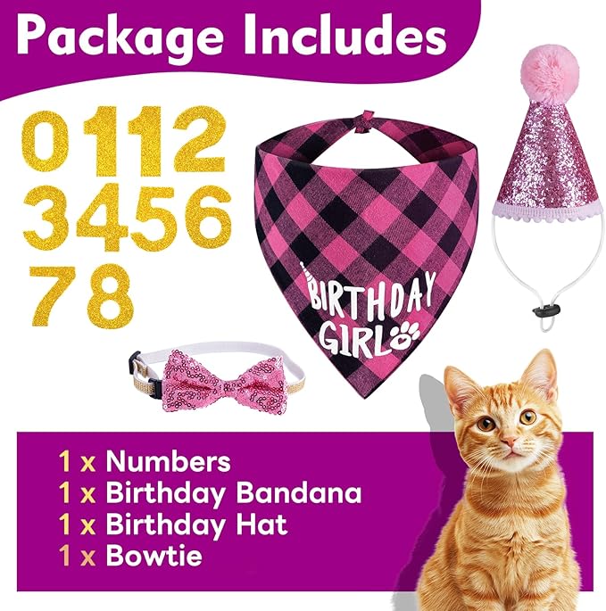 Cat Birthday Decorations, Pink Girl Cat Birthday Bandana Hat Numbers Bowtie for Cats Party Outfits