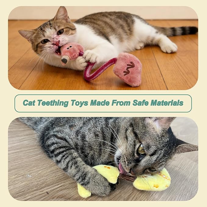 Interactive Cat Toys Set, Silvervine Chew Sticks and Catnip Spring Ropes, Indoor Cat Toys for Exercise and Dental Care, for All Cat Breeds (5 Packs)