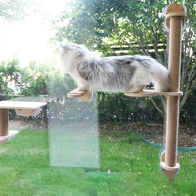 38.5in Scratching Post with Window Shelf Set - for Climbing, Sunbathing, Napping & Overlooking