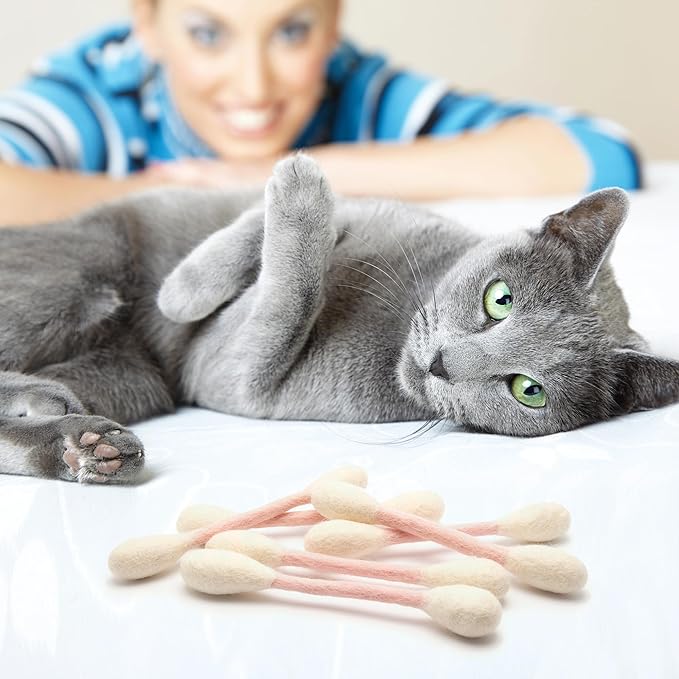 Glaciart One Swabs Cat Toys with Catnip - 6 Pk | Durable for Chew, Cute Cat Toys Interactive Kitty for Boredom, Exercise, & Play | Filled w/Organic Catnip for Anxiety & as Digestive Aid | Gift Idea