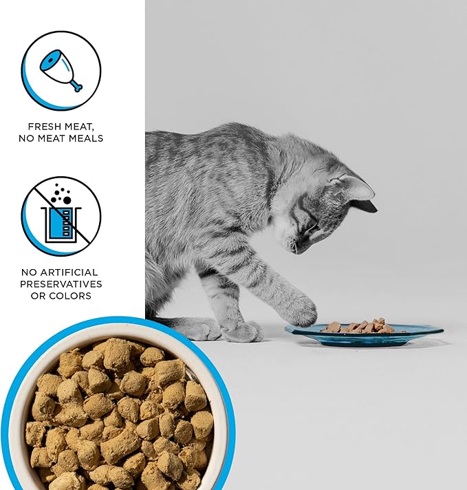 BIXBI Rawbble Freeze Dried Cat Food, Chicken & Salmon Recipe, 10 oz - 95% Meat and Organs, No Fillers - Pantry-Friendly Raw Cat Food for Meal, Treat or Food Topper - USA Made in Small Batches