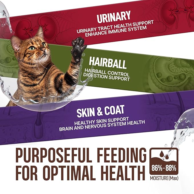 PETPHABET Lickable Cat Treats Spoon, 36 Count Creamy Puree Kitten Treats Variety Pack, Functional Wet Paste Cat Snacks for Skin & Coat Support, Hairball Relief, Urinary Health, Grain-Free Kitty Treat