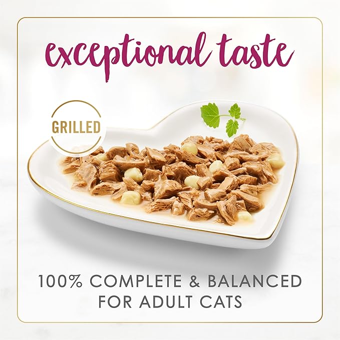 Fancy Feast Purina Delights with Cheddar Grilled Chicken and Cheddar Cheese Feast in Wet Cat Food Gravy Cat Food - 3 oz. Cans (Pack of 48)