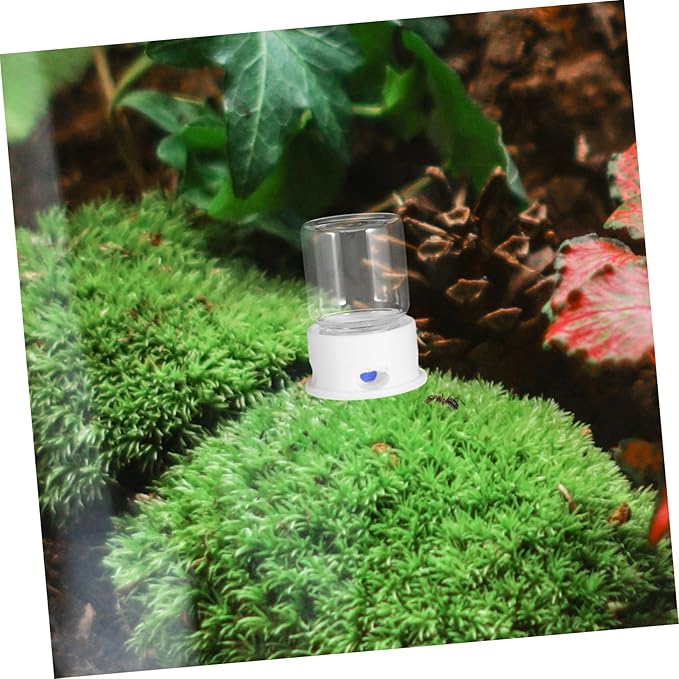 Automatic Ant Water Feeder Medium Ant Watering Station and Practical Design in Environment