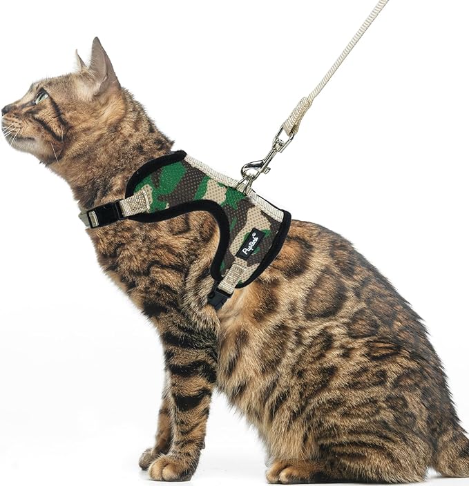 PUPTECK Cat Harness and Leash Set Escape Proof, Reflective Adjustable Soft Mesh Kitten Vest Harness for Walking Travel, Camouflage, S
