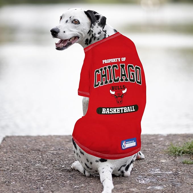 Pets First NBA Licensed Hoodies & T-shirt for Dogs & Cats, Chicago Bulls, Large