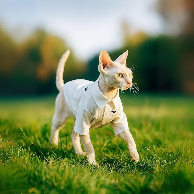 Luxury Pet Shirt for Hairless Cats – White Designer Button-Up Outfit, Formal Clothes for Wedding, Party, Photoshoot, Boy Puppy Kitten Sphynx (X-Small 2.2-3.3 lbs)