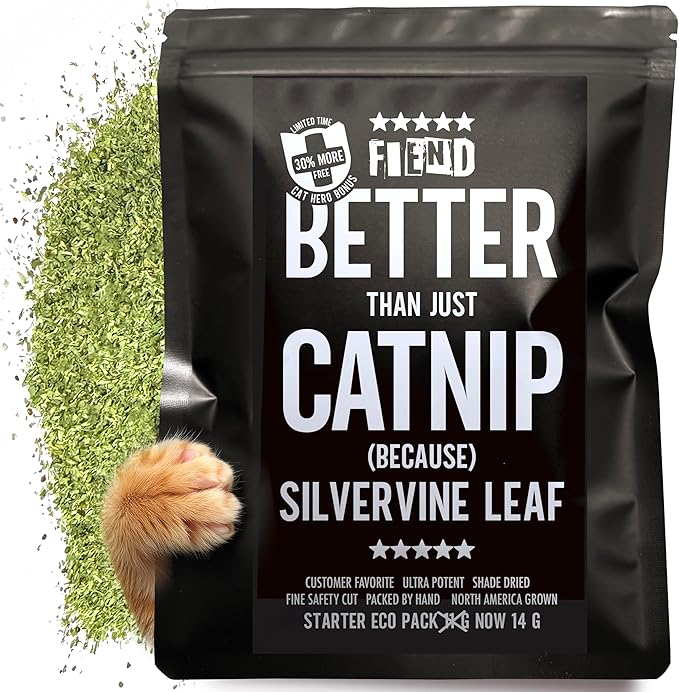 Catnip + Silvervine – Enhanced with Kind Silver Vine - Small .4 Cup (14g) Starter Pack Safety-Cut Ultra Potent North American Premium Fine Cat Nip Blend for Cats Kittens – Go Ahead, Create a Monster!