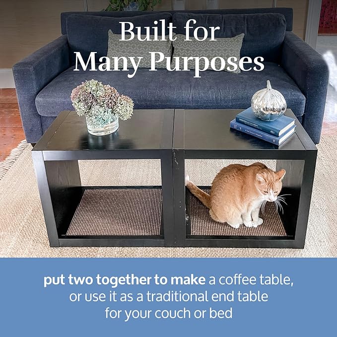 Designer Pet Products 2-in-1 Cat Scratcher End Table – Modern Wood Side Table with Customizable Sisal Scratching Pad – Versatile Furniture for Cats and Home Decor