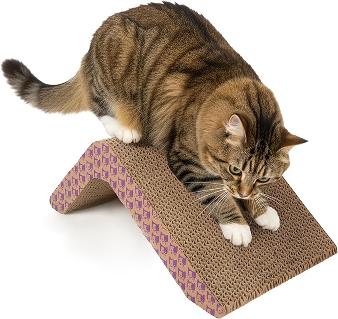 SmartyKat Scratch Ladder Angled Cat Scratcher with Catnip Infusion Technology, Versatile for Floor or Wall Use
