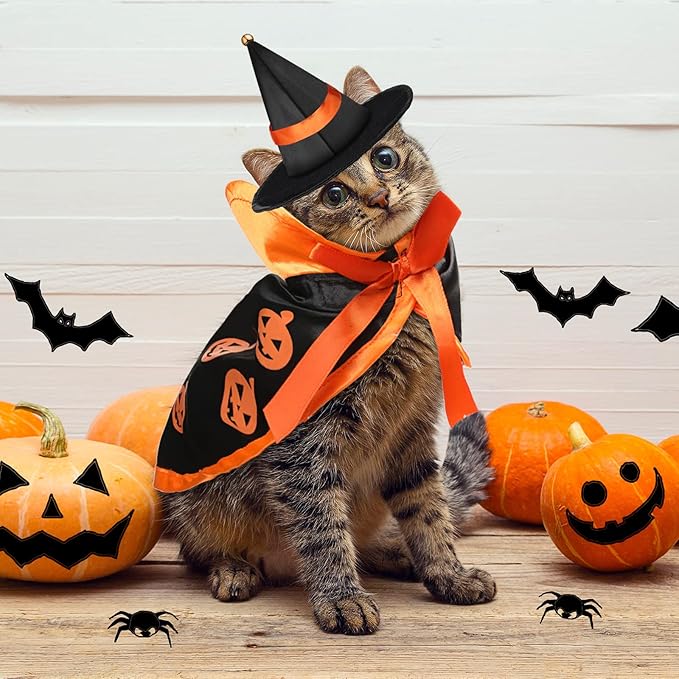 Potchen 5 Pcs Cat Halloween Vampire Costume Halloween Pet Costume Clothes Set Cat Vampire Cloak Devil Witch Hat Bat Wings Wizard Clothes for Puppy Cosplay Dress up Accessories
