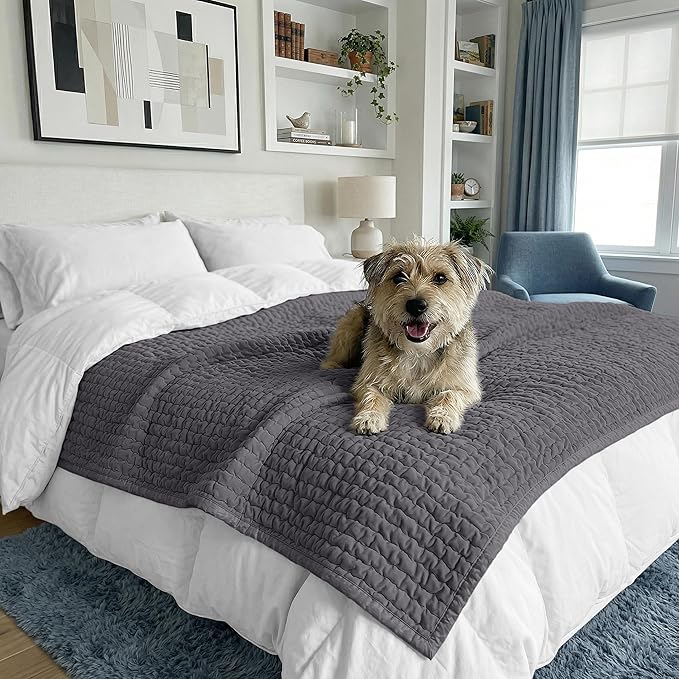 PAULATO BY GA.I.CO. Waterproof Blanket for Bed – Queen Absorbent Couch Cover – Machine Washable Stain-Proof Pad for Large Sofa – Pets Dogs & Cats Friendly Protector - Dark Grey