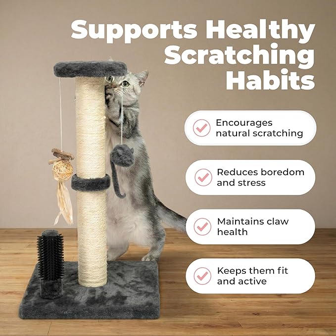 Best Pet Supplies Catify Cat Scratcher, Fun Interactive Scratchers, Posts, Poles, Claw Safe, Furniture Saver Indoor Play Support Natural Cat Behaviors Heavy Duty - Gray, 11.78 x 11.78
