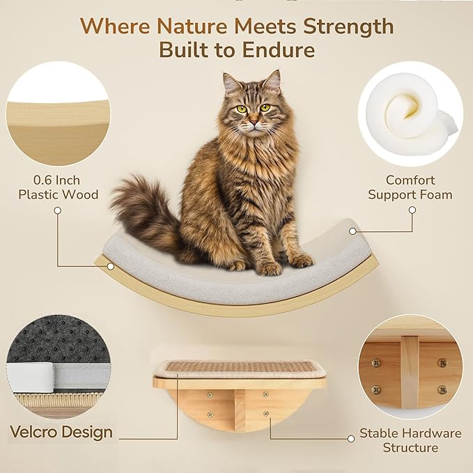 Cat Window Perches, Curved Cat Wall Beige Bed and 2 Floating Wall Steps, Wall Mounted Climbing Shelves for Sleeping, Playing, and Lounging