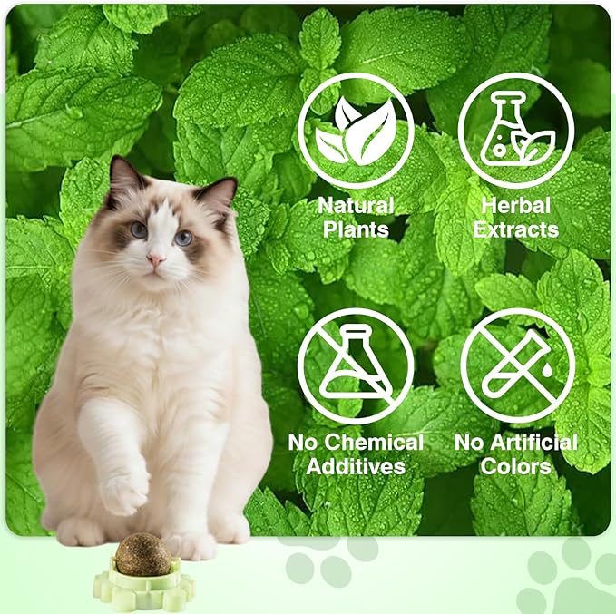 4 Pack Catnip Wall Balls 360° Rotatable Edible Cat Nip Toys Licking for Cats Wall-Mounted Teeth Cleaning Anxiety Relief Natural Indoor Mint Safe and Healthy Chew Kittens Peppermint Ball Climb Treats
